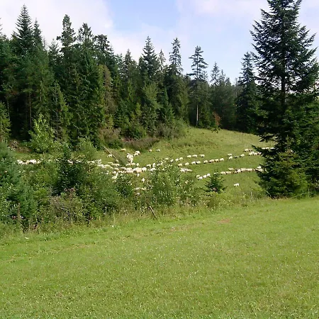 Pod Majową Górą * Kacwin