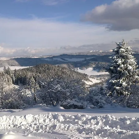 公寓 Pod Majowa Gora *