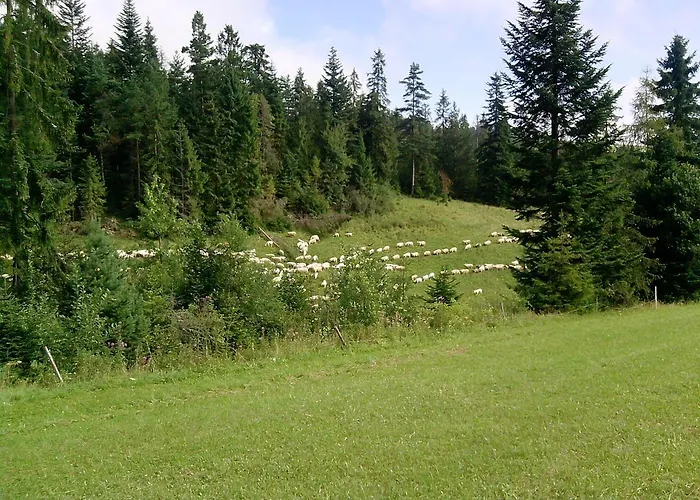 Pod Majowa Gora * Kacwin